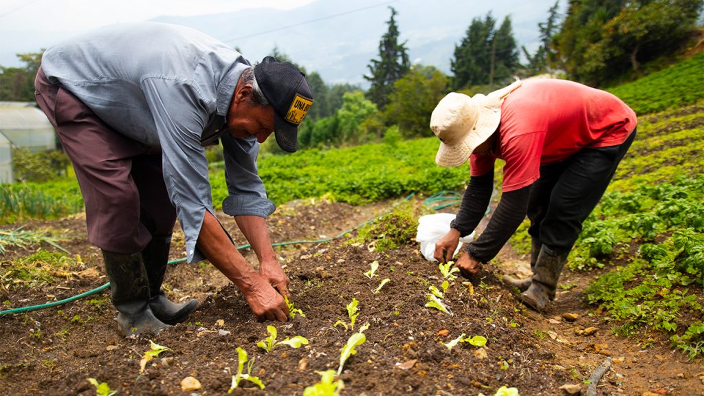 Cali necesita un Centro de Acopio Agroalimentario