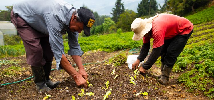 Cali necesita un Centro de Acopio Agroalimentario